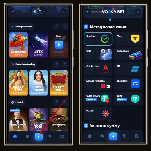 Способы внесения средств