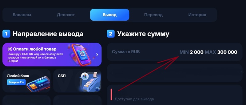 Поле, в котором указаны лимиты на кешаут